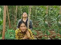 Download Lagu A single mother's simple tent for survival in the forest/Hoang Thi Duyen