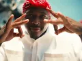 Tyga, YG - PLATINUM (Official Video)