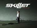 Download Lagu Top 20 Skillet Songs