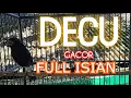 Download Lagu BURUNG DECU GACOR
