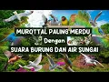 Download Lagu ENAK DIDENGAR + SUARA BURUNG | MUROTTAL MERDU MISARY RASYID |  RELAKSASI JUZ 1 FULL