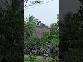 Download Lagu Rintik hujan di kampung halaman