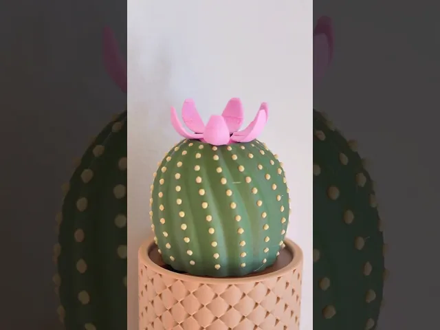 CactiKeys - The Blooming Wall Mounted Keyholder video thumbnail