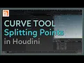 Splitting Points with the Curve Tool in Houdini