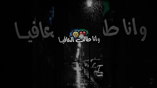 اغنية كابر ڨليل من بكري طافية  اغنية كابر ڨليل من بكري طافية