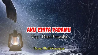 dian piesesha aku cinta padamu lirik 