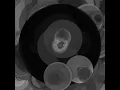 Brooks - Lynx processing visualization