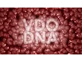 Slime Text Reveal