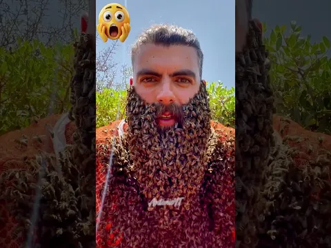 ¿Por qué se CUBREN el cuerpo de abejas? 🐝😱