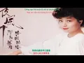 Cơn Gió Đêm  [Phiên âm tiếng Việt]  夜風中 -- 徐小鳳 Paula Tsui -- 粤语歌 - Tiếng quảng đông
