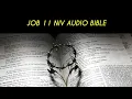 JOB 11 NIV BIBLE