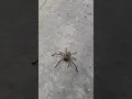 Going for a run