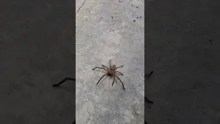 Going for a run
