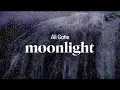 ali gatie - moonlight