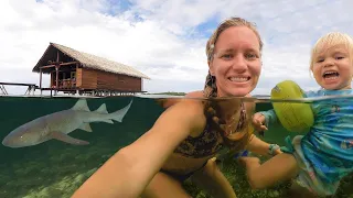 You Can See SHARKS From the Kitchen!  SV Delos Ep 355