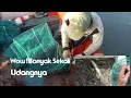 Download Lagu Pasang Bubu Naga Di Pinggir Laut Hasilnya Memuaskan