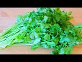 3 Ways to Preserve Cilantro for Weeks or Months CiCi Li - Asian Home Cooking Recipes