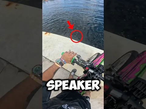 My Speaker Fell Into Gator Water 😳#shorts