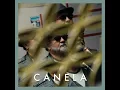 Canela (Radio Edit) (Duck Sessions)