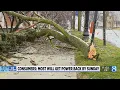 Kalamazoo Co declares state of emergency amidst power outages