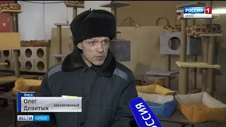 Жилплощадь для четвероногих друзей