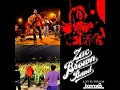 Free / Into the Mystic (Live from Bonnaroo)