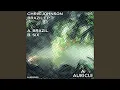 Download Lagu Brazil (Original)