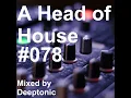 A Head Of House #078