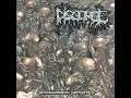 Disgorge (Mex) - Inhuman (Grave Cover)