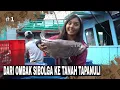 Lagu DARI OMBAK SIBOLGA KE TANAH TAPANULI | JEJAK PETUALANG (16/10/25) Part 1