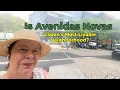 Moving to Lisbon Discover Avenidas Novas Lisbon Portugal Real Estate Insights