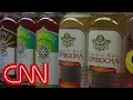 Download Lagu Kombucha tea dangers