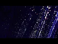Forty Cats - In My Bedroom Sessions 011 announcement