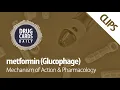 Metformin Mechanism of Action Pharmacology Drug Cards Daily Clips