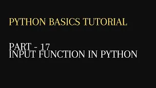 17 input function in python