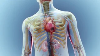 How does aspirin work