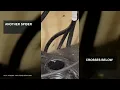 Two Spiders in One Garage Desk Web Habitat Observation
