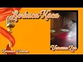 Download Lagu Berkaca Kaca karaoke Vanessa Zee #BERKACAKACA #vanessazee