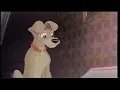 Download Lagu Lady And The Tramp II: Scamp's Adventure: Tramp (2001) (VHS Capture) (10)