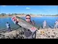 Trout fishing at Pardee Lake Opener 2026 ONLY 1000lbs planted on opening day