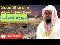 Download Lagu Surah Fussilat, Saud Al-Shuraim, سورة فصلت, الشيخ سعود الشريم,
