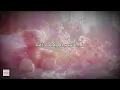 warren zeiders ✨ relapse ✨ ~ lyrics