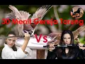 Download Lagu Gereja Tarung Random Tembakan Plus Terapi Air Murai Mastering