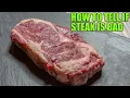 How to Tell if Steak is Bad or Spoiled 5 Signs