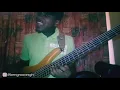 Fallen in Love by Chidinma (Bass cover)