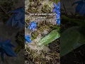 Spring is here