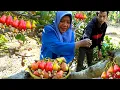 Download Lagu Merah Menggoda Tapi Kecutnya Luar Biasa Nostalgia Mukbang Buah Legend