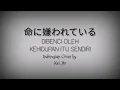 (Re-cover) 【Kei_Ito】Inochi ni Kirawareteiru (Versi indonesia) / 命に嫌われている を歌ってみた