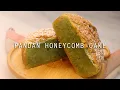 BEST Pandan Honeycomb Cake Recipe Banh Bo Nuong