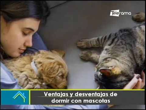 Ventajas y desventajas de dormir con mascotas